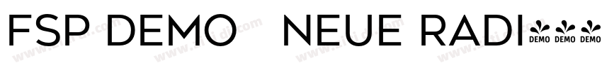 FSP DEMO   neue Radi字体转换
